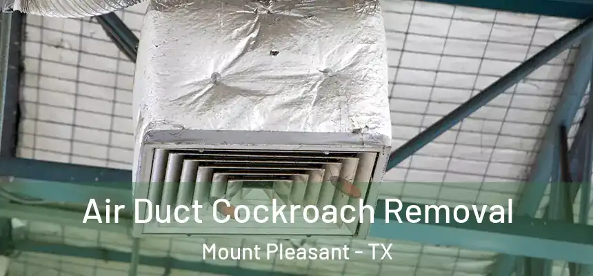  Air Duct Cockroach Removal Mount Pleasant - TX