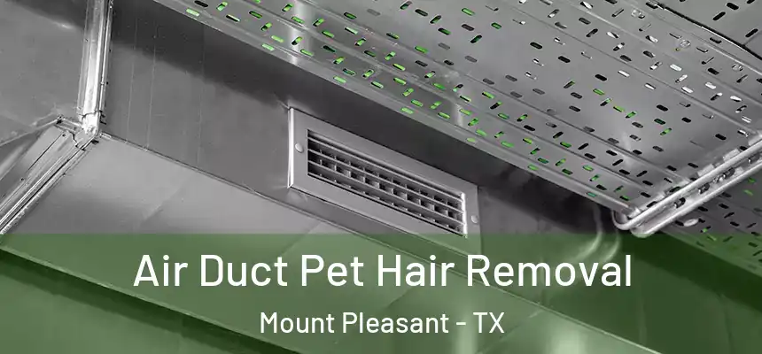  Air Duct Pet Hair Removal Mount Pleasant - TX