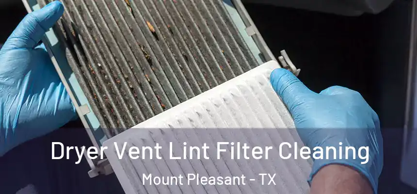  Dryer Vent Lint Filter Cleaning Mount Pleasant - TX