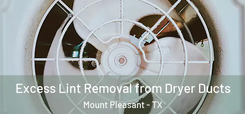  Excess Lint Removal from Dryer Ducts Mount Pleasant - TX