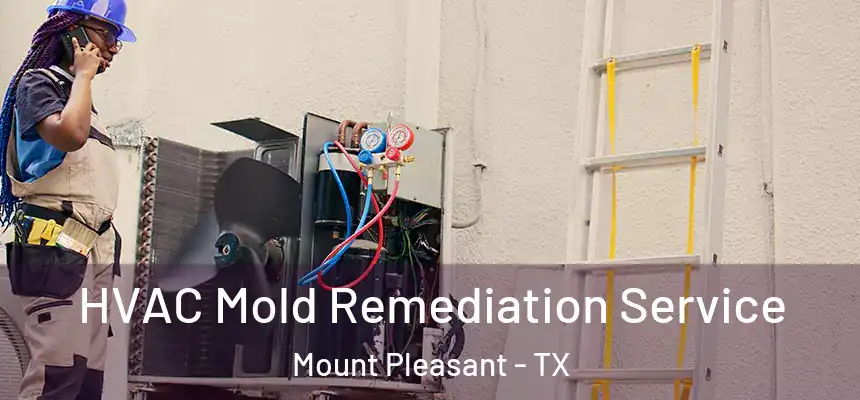  HVAC Mold Remediation Service Mount Pleasant - TX