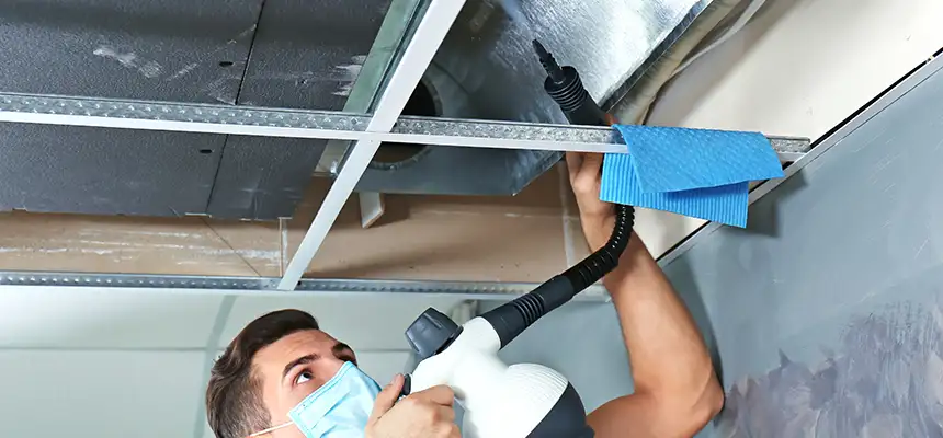 Our Air Duct Rodent Removal Services in Mount Pleasant, TX