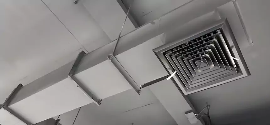 Our Rodent Droppings In Vents Services in Mount Pleasant, TX