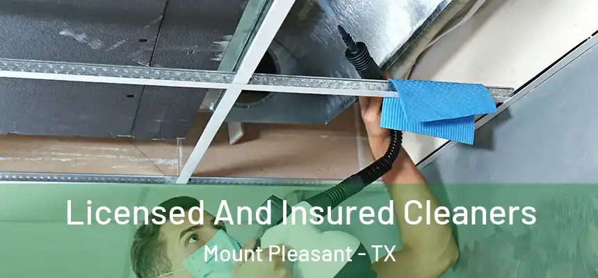  Licensed And Insured Cleaners Mount Pleasant - TX
