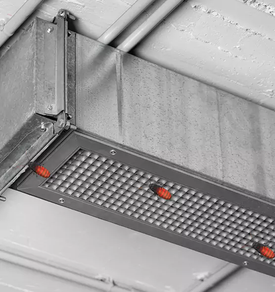 Affordable Insect Removal from Air Ducts in Mount Pleasant, TX