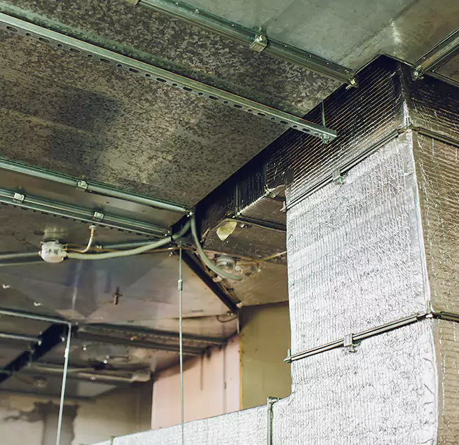 Why Homeowners & Businesses Trust Us in Mount Pleasant, TX?